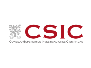 CSIC Logo